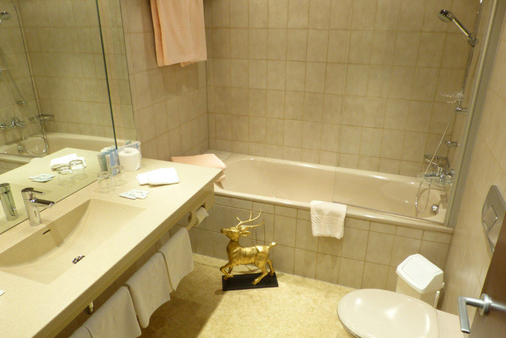 Goldener Hirsch Hotel 3*